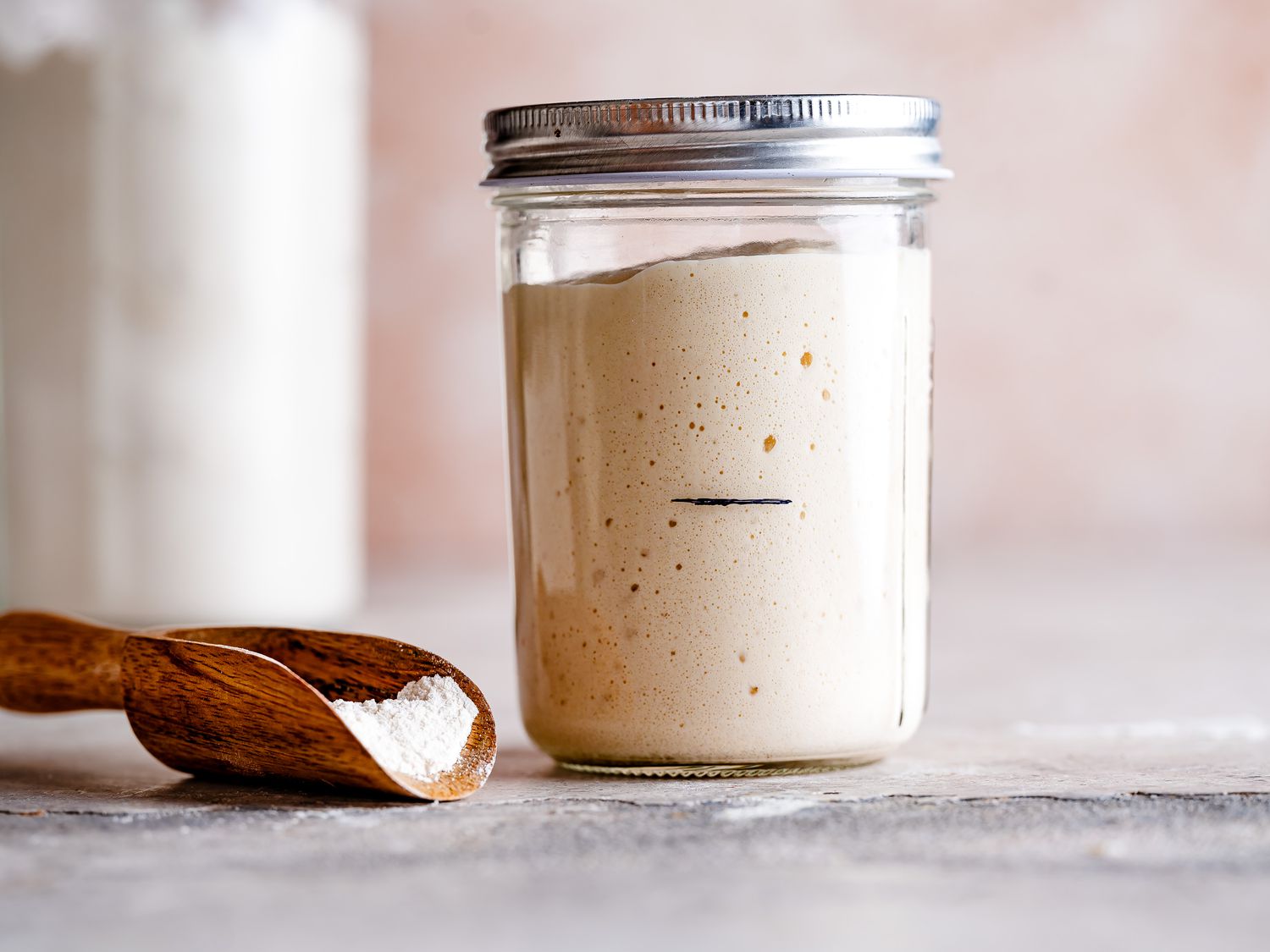 Gluten Free Sourdough Starter Guide