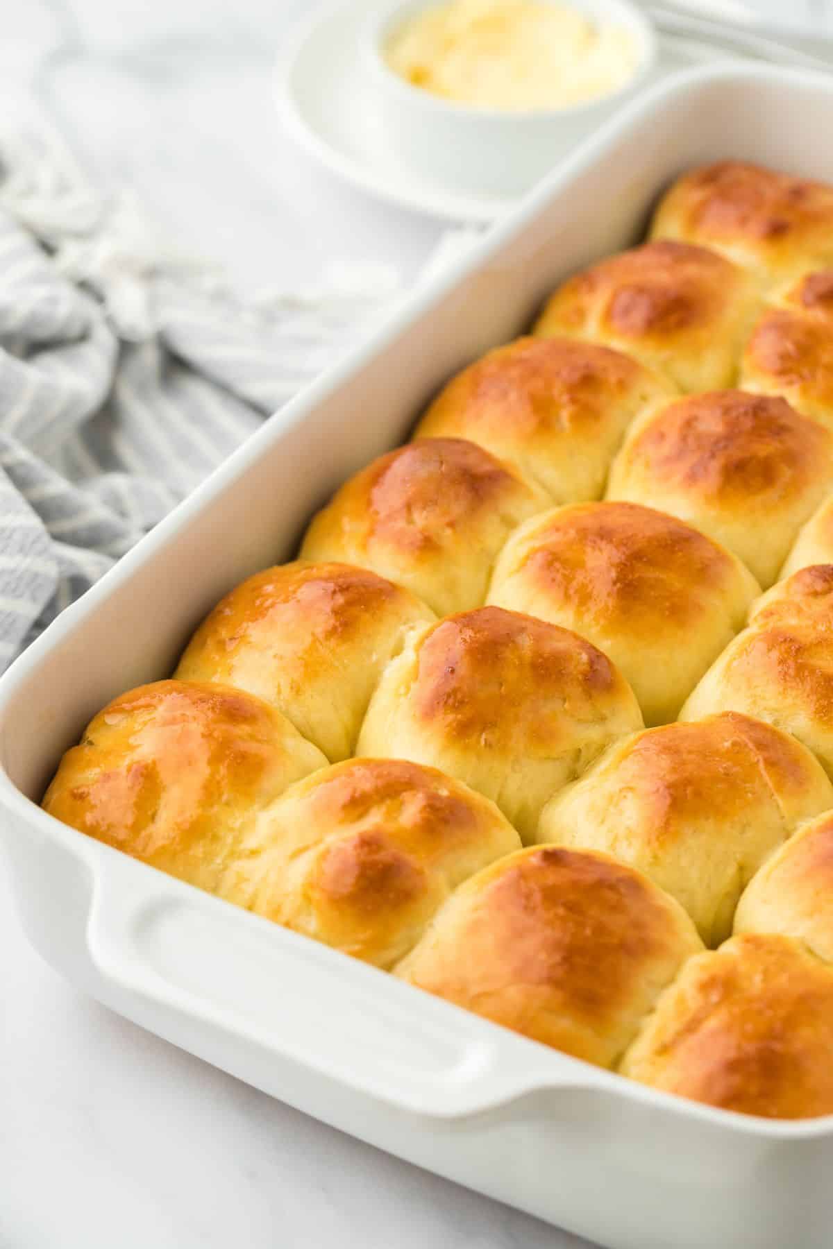 Dinner Rolls